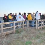 Cambria_0226 (November 05, 2011)